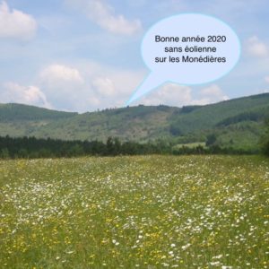 Bonne année 2020